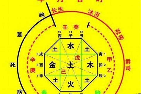 木火運|【喜木火的人】八字喜木火的人不可錯過的運勢錦囊，招財順利秘。